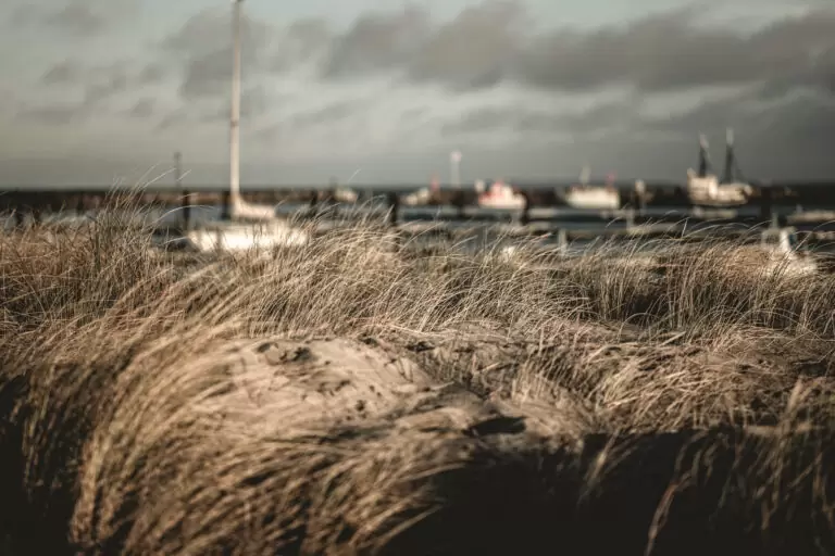 Strandhotel Kühlungsborn - Dünenspaziergang